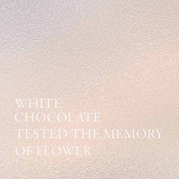 WHITE CHOCOLATE TESTED THE MEMORY OF FLOWER
